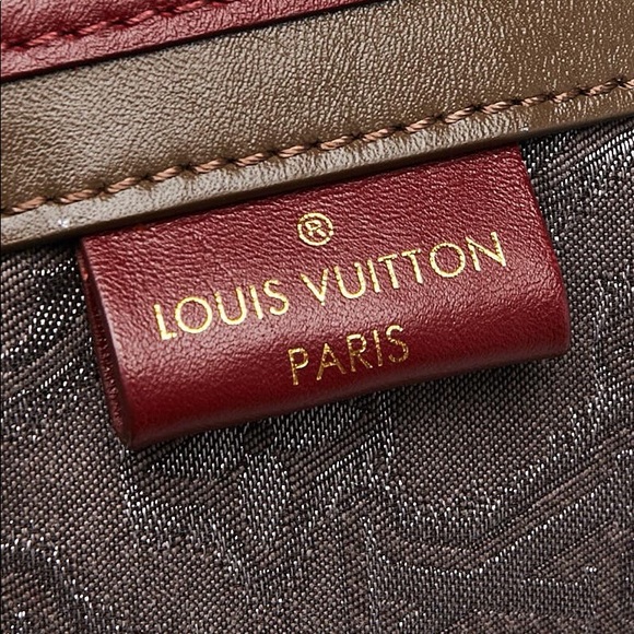 💎✨RUNWAY ✨💎 Louis Vuitton aviator bag LIMITED EDITION - Picture 10 of 12